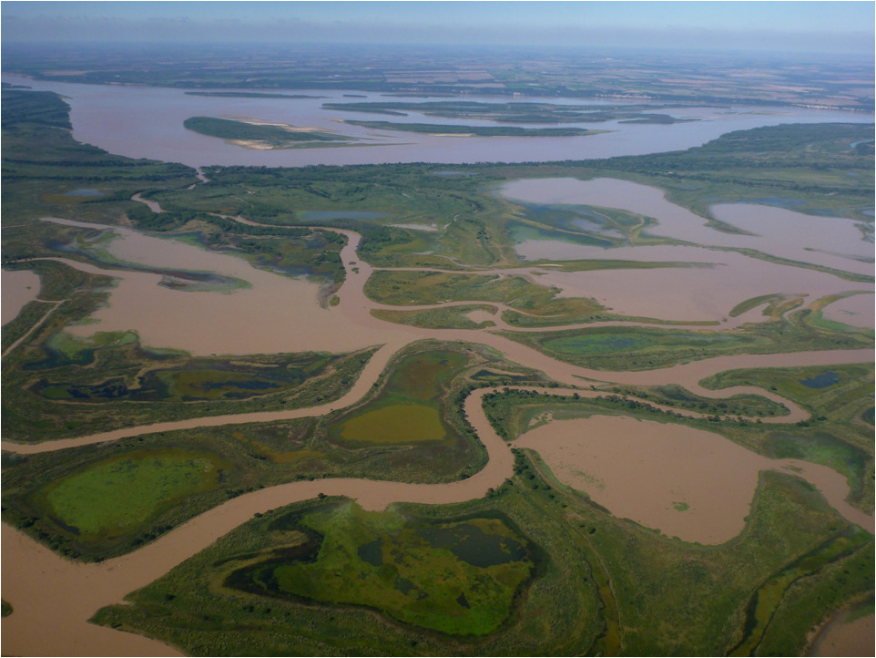 Paraná Microbiome